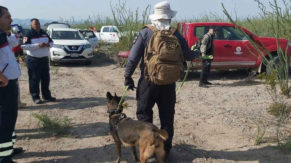 Busqueda perro policia